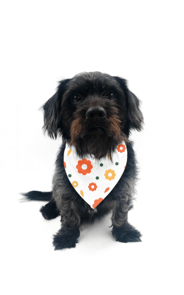 Marama na Čičak za Psa s Tiskom 38 - 45 cm | Dizajniraj
