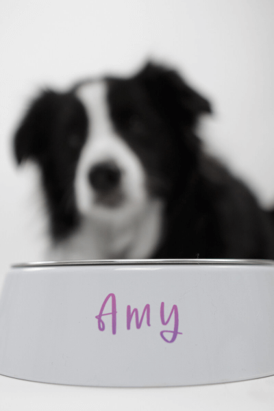 Posuda za Psa s Tiskom po Želji ili Natpisom | ime psa