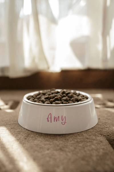 Posuda za Psa s Tiskom po Želji ili Natpisom | Nehrdajuci