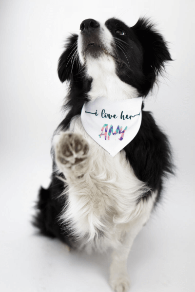 Kreiraj Marama na Čičak za Psa s Tiskom 32 - 38 cm 