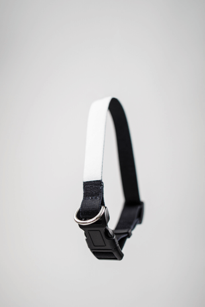 Prilagodljiva Ogrlica za Pse s Tiskom (S) | Puppynator.hr