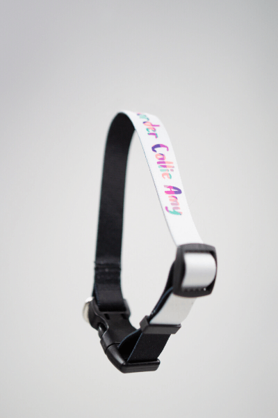 Prilagodljiva Ogrlica za Pse s Tiskom (S) | Puppynator.hr