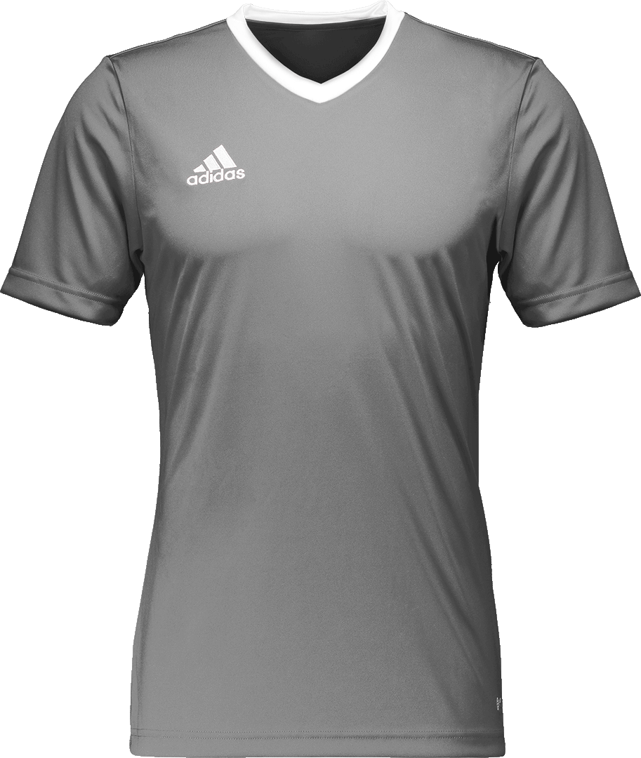 Tisak na Dresu Kratkih Rukava za Trening Adidas Entrada 22