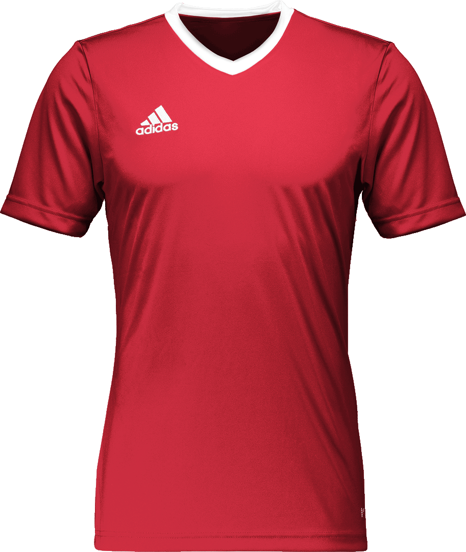 Tisak na Dresu Kratkih Rukava za Trening Adidas Entrada 22