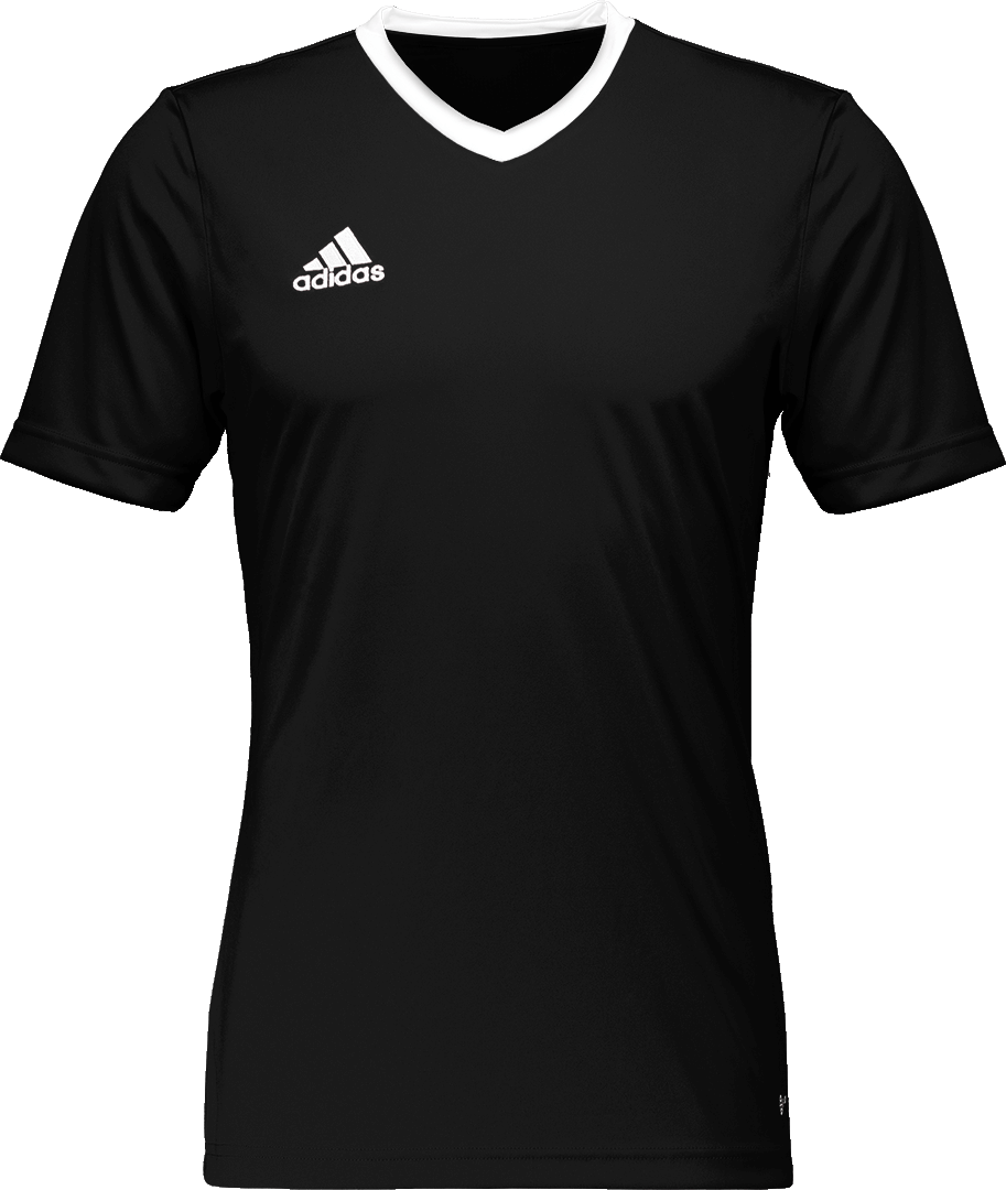 Tisak na Dresu Kratkih Rukava za Trening Adidas Entrada 22