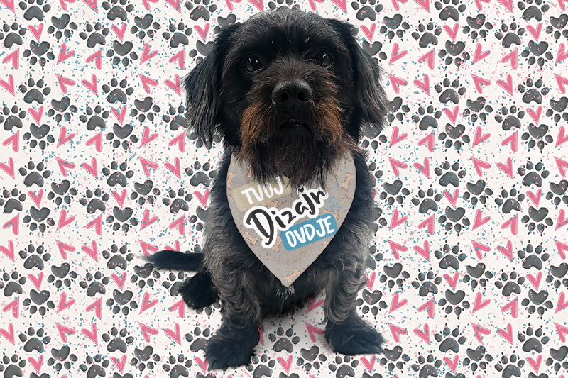 Tisak na maramu za psa ili mačku - puppynator.hr